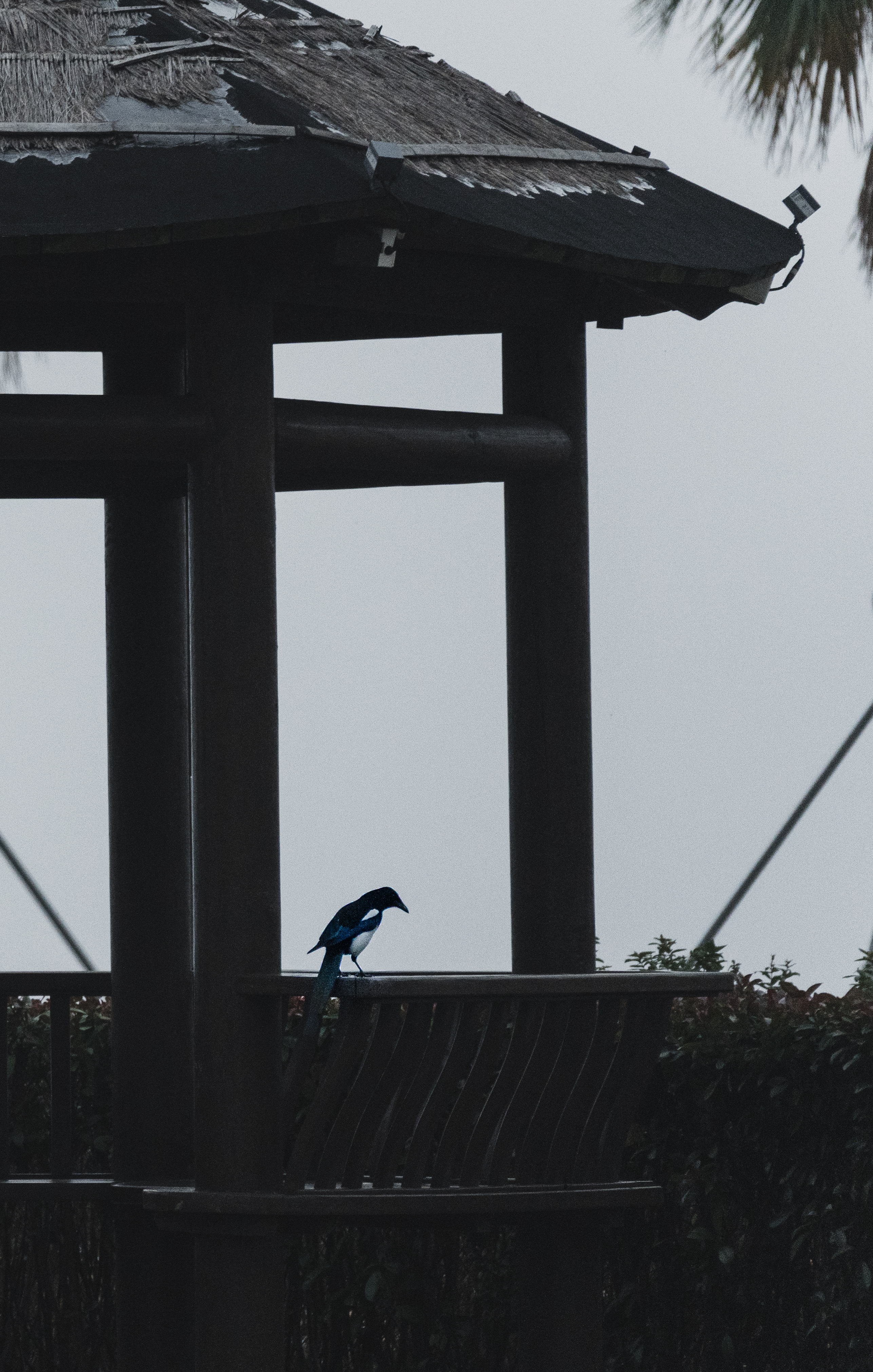 高密度的城市里，每一扇玻璃都是一个无声的旁观者。它记录下无数张脸，但从不评判。